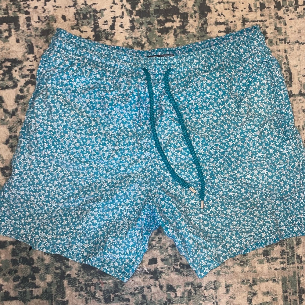 Printed Swim Trunks